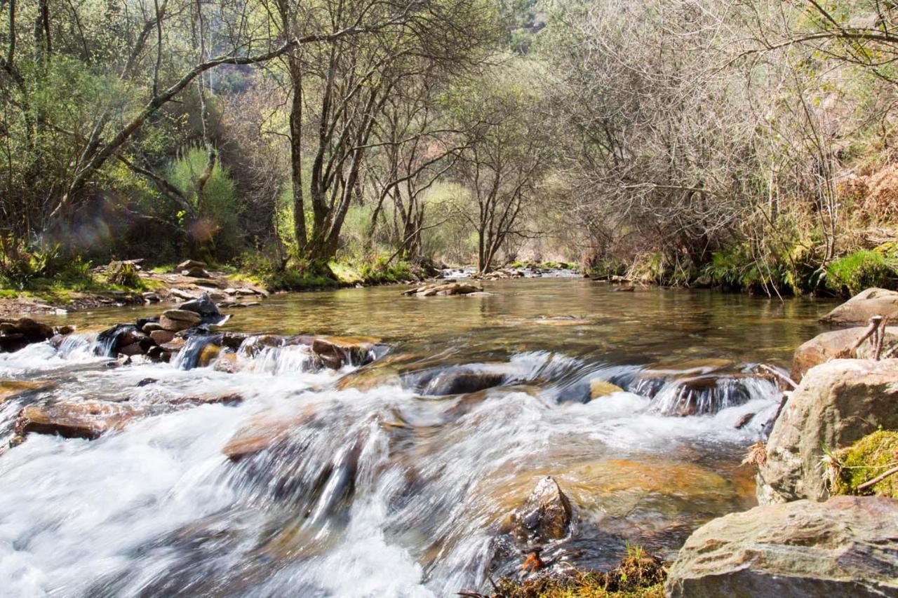 O Refugio Do Mineiro Lägenhet Arouca Exteriör bild