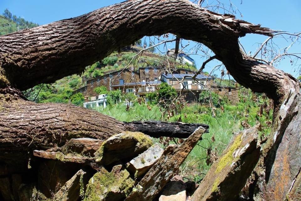 O Refugio Do Mineiro Lägenhet Arouca Exteriör bild