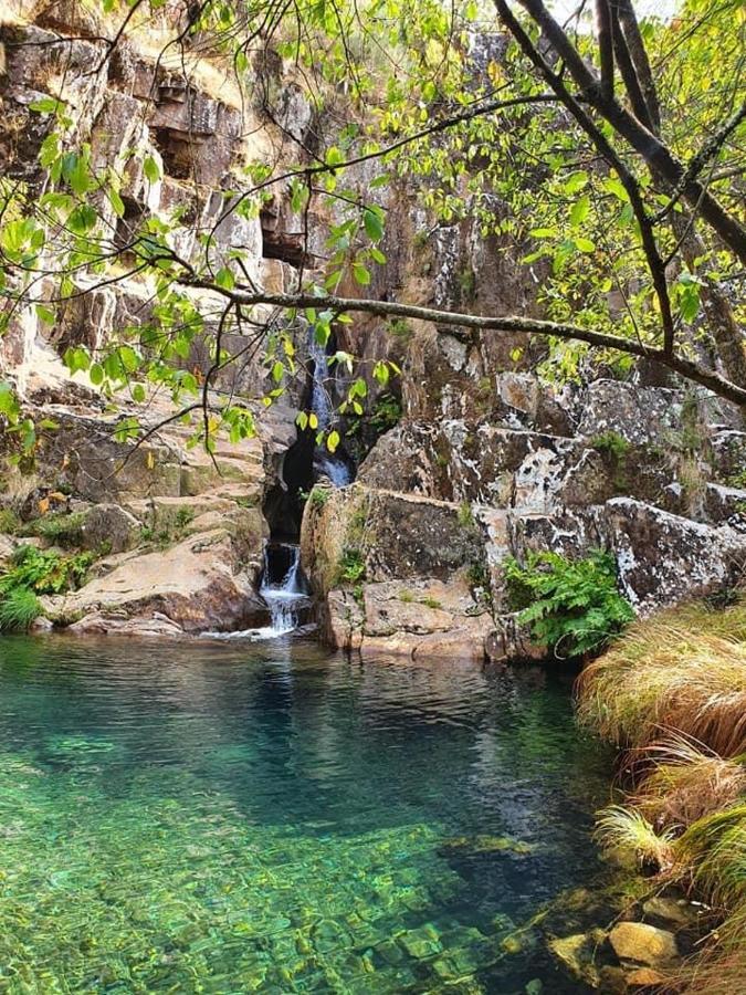 O Refugio Do Mineiro Lägenhet Arouca Exteriör bild