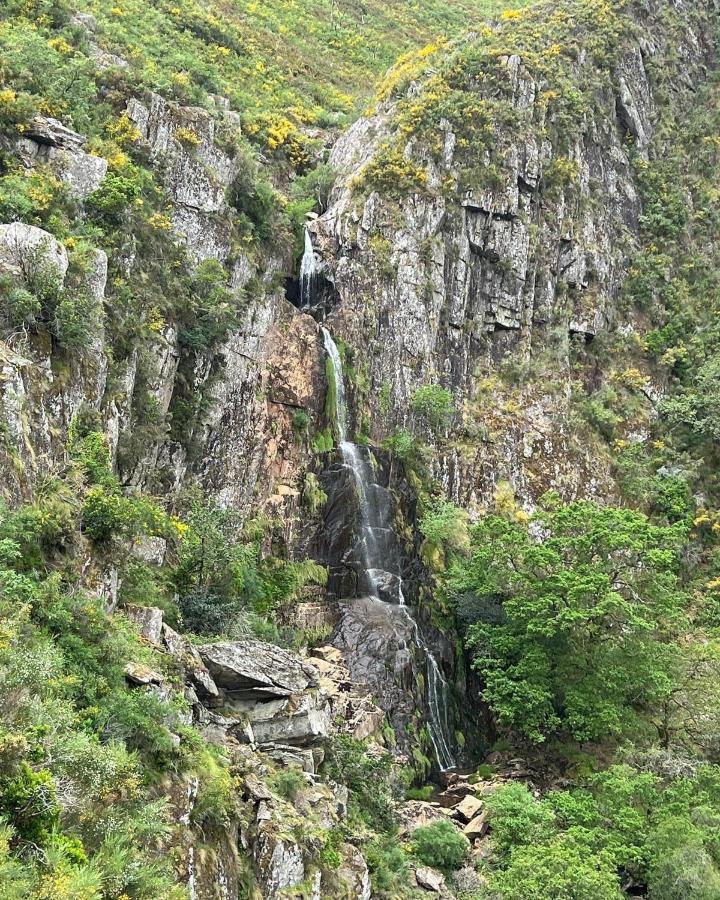 O Refugio Do Mineiro Lägenhet Arouca Exteriör bild
