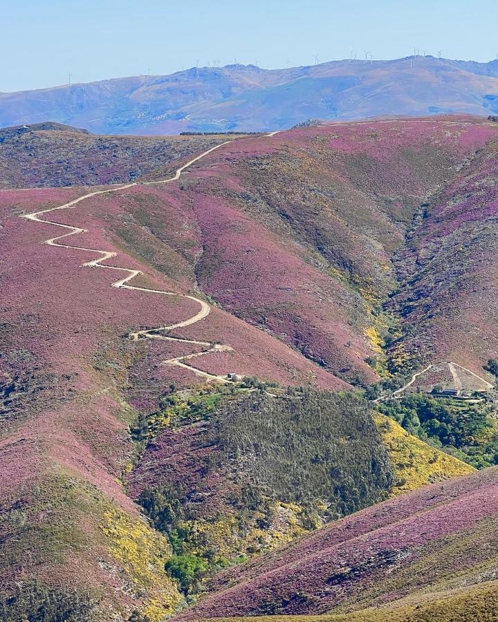 O Refugio Do Mineiro Lägenhet Arouca Exteriör bild