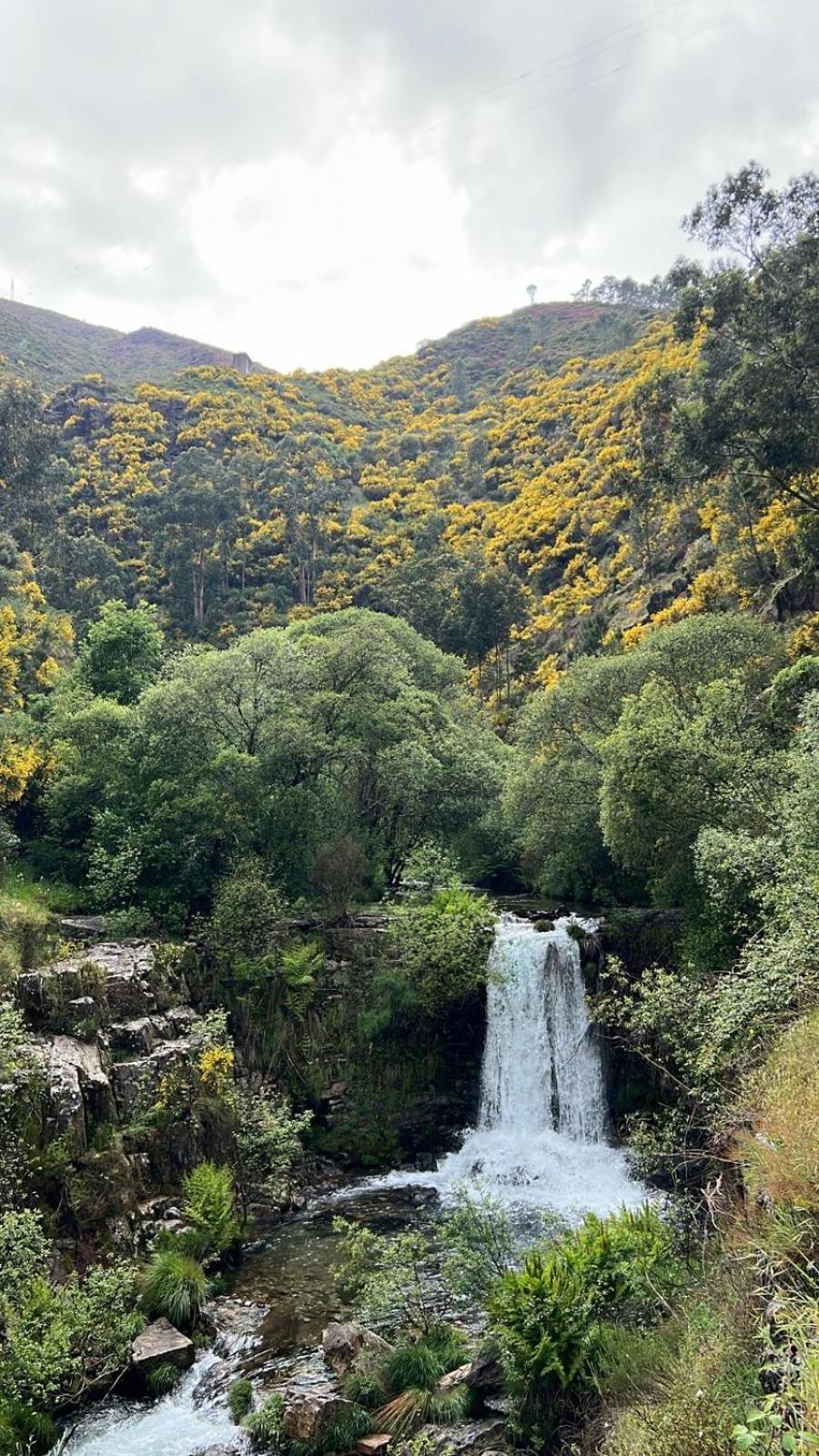 O Refugio Do Mineiro Lägenhet Arouca Exteriör bild